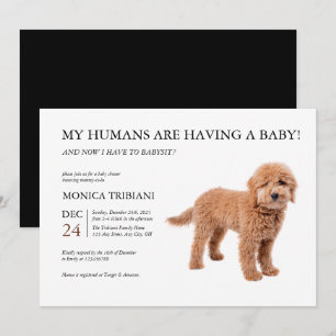 Golden Doodle Baby Shower Minimalist Invitation