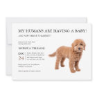 Golden Doodle Baby Shower Minimalist Invitation