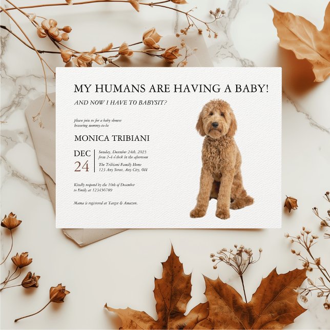 Golden Doodle Baby Shower Minimalist Invitation (Toy Poodle Apricot Baby Shower Funny Invitation)