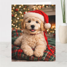 Golden Doodle Christmas Card