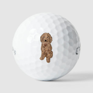 Golden doodle dog  golf balls