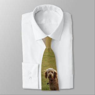 Golden Doodle Dog Tie