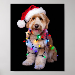 Golden Doodle In Santa Hat Wrapped Up In Christmas Poster
