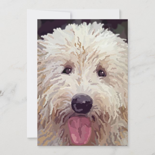 Golden Doodle Look Cards (Front)