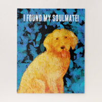 Golden doodle, my soulmate!