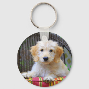 Golden Doodle Puppy Keychain