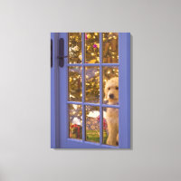 Golden Doodle puppy looking out glass door with