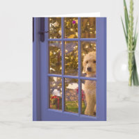 Golden Doodle puppy looking out glass door with