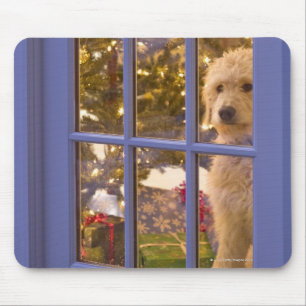 Golden Doodle puppy looking out glass door with Mouse Mat