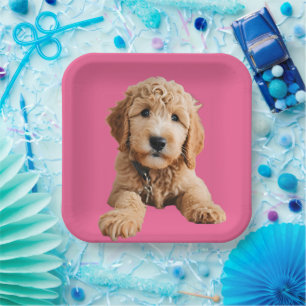 Golden Doodle Puppy Paper Plate