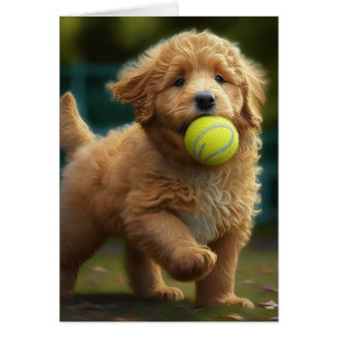 Golden Doodle Puppy Plays Ball All Occasions Greet