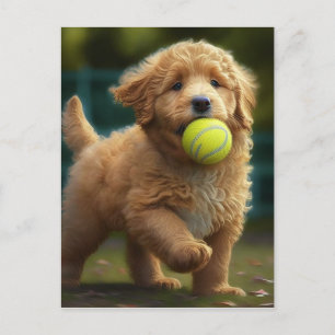 Golden Doodle Puppy Plays Ball Postcard