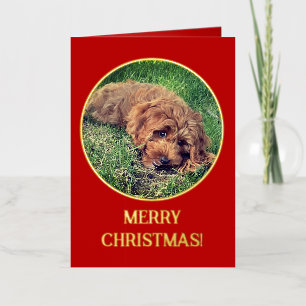 Golden Doodle Red Foil Greeting Card