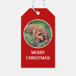 Golden Doodle Red Gift Tags