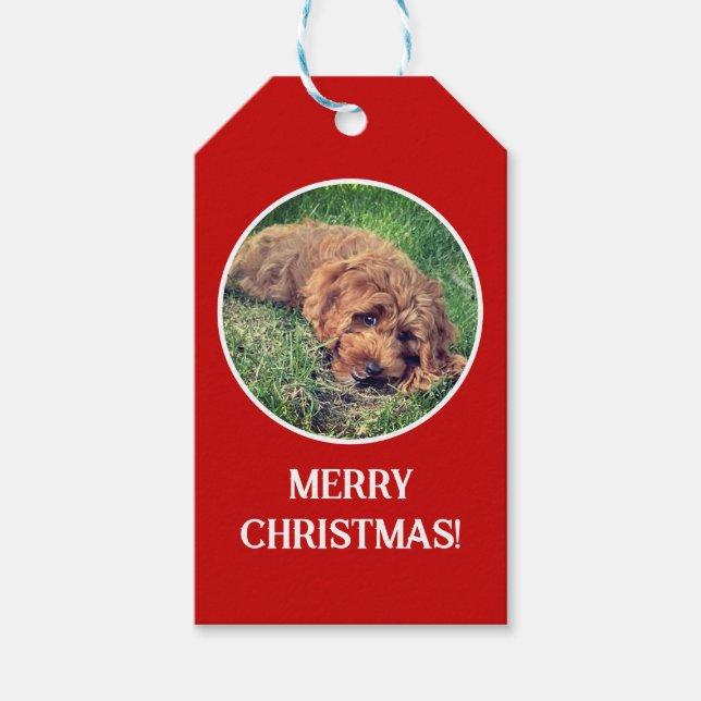 Golden Doodle Red Gift Tags (Front)