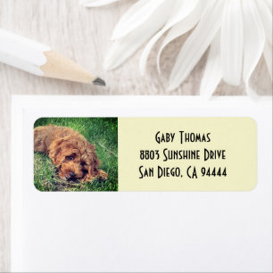 Golden Doodle Return Address Labels