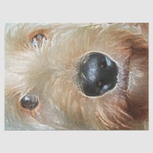 Golden Doodle with big black squishy nose Tissue Paper