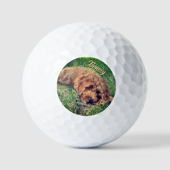 Golden Doodle With Text Golf Balls (Front)