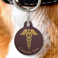 Golden Double Snake Caduceus
