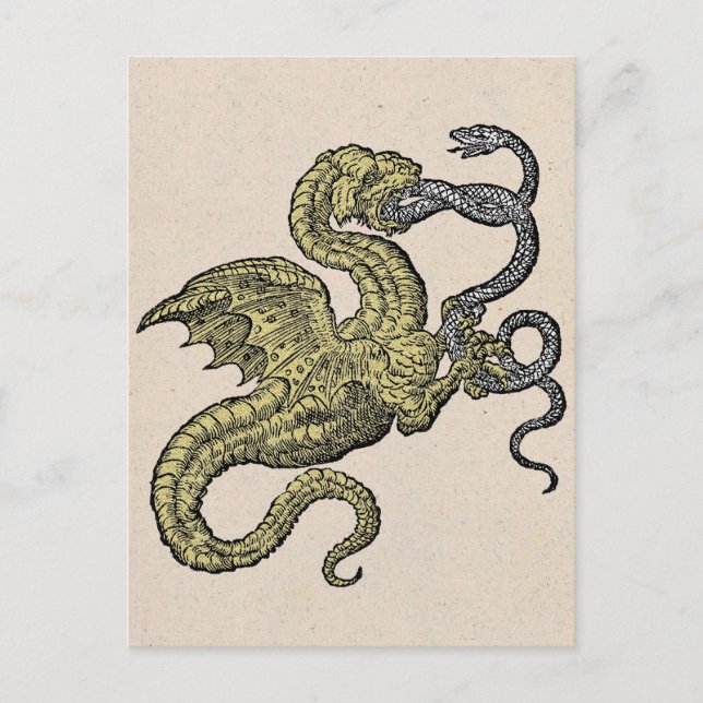 Golden Dragon and Silver Snake Postcard (Front)