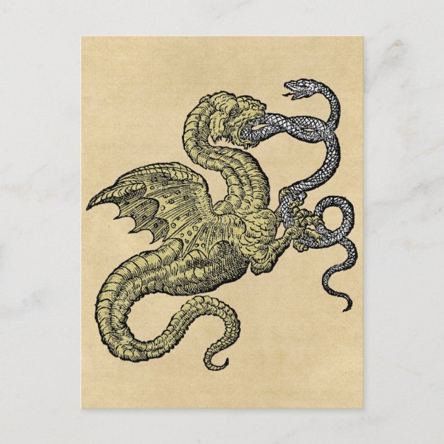 Golden Dragon Fighting Snake Postcard (Front)