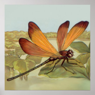 Golden Dragonfly Poster