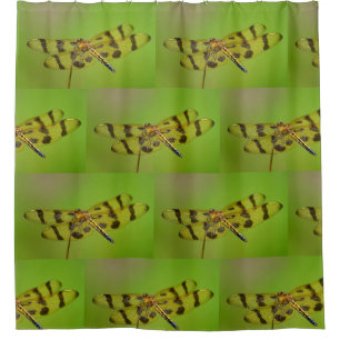 Golden Dragonfly Shower Curtain