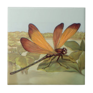 Golden Dragonfly Tile