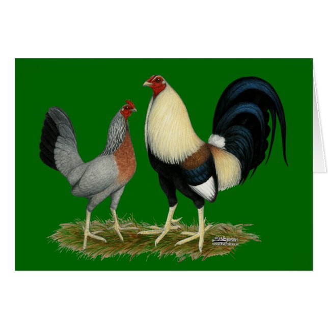 Golden Duckwing Chickens (Front Horizontal)