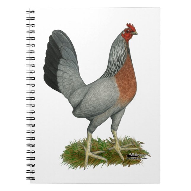 Golden Duckwing Hen Notebook (Front)