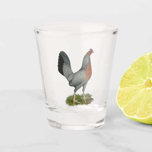 Golden Duckwing Hen Shot Glass (Front)