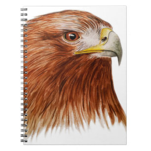 Golden Eagle 2011 Notebook