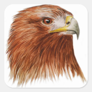 Golden Eagle 2011 Square Sticker
