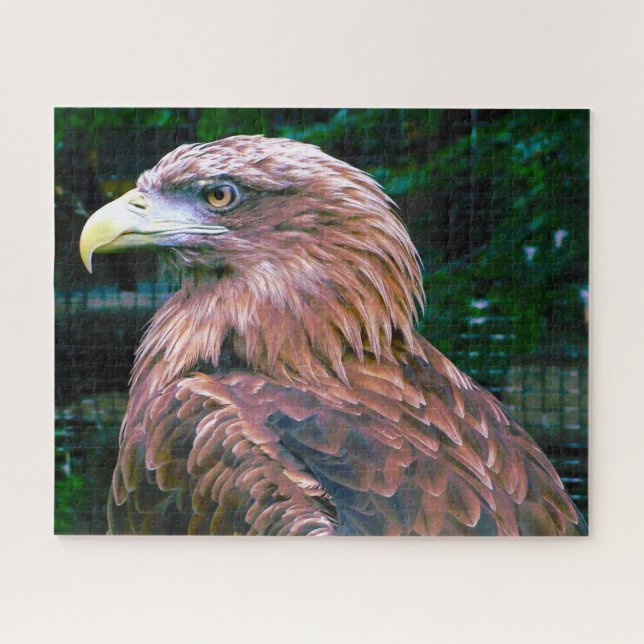 Golden Eagle Bird of Prey. Jigsaw Puzzle (Horizontal)