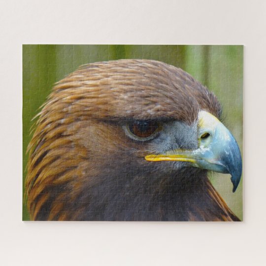 Golden Eagle Bird of Prey. Jigsaw Puzzle | Zazzle.co.uk