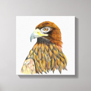 Golden Eagle Bird Watercolor Painting Canvas Print