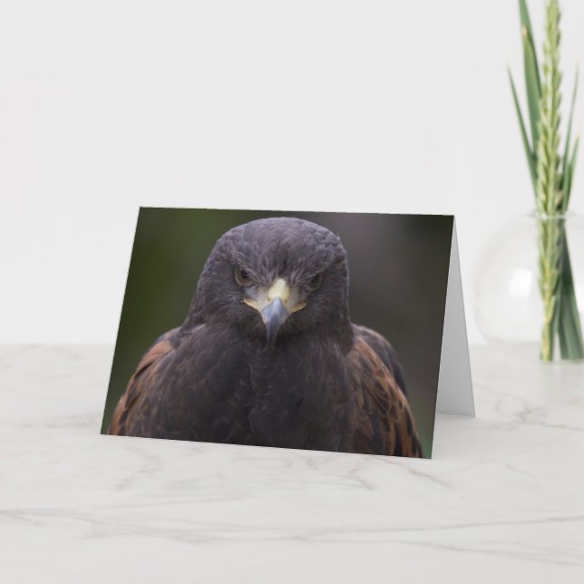 Golden Eagle Card (Front)