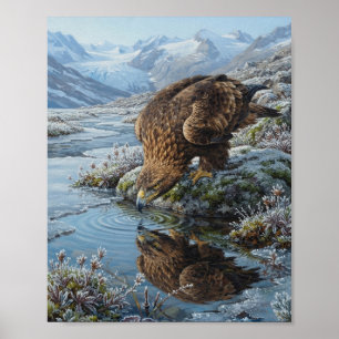 Golden Eagle Drinking Glacial River Reflection Alp Poster