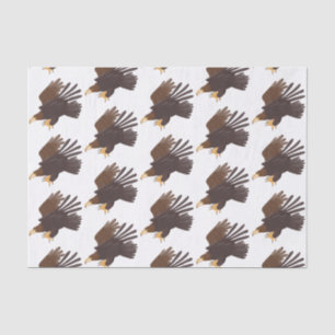 Golden eagle funny cartoon illustration tissue paper