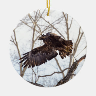 Golden Eagle in Flight Ceramic Tree Decoration