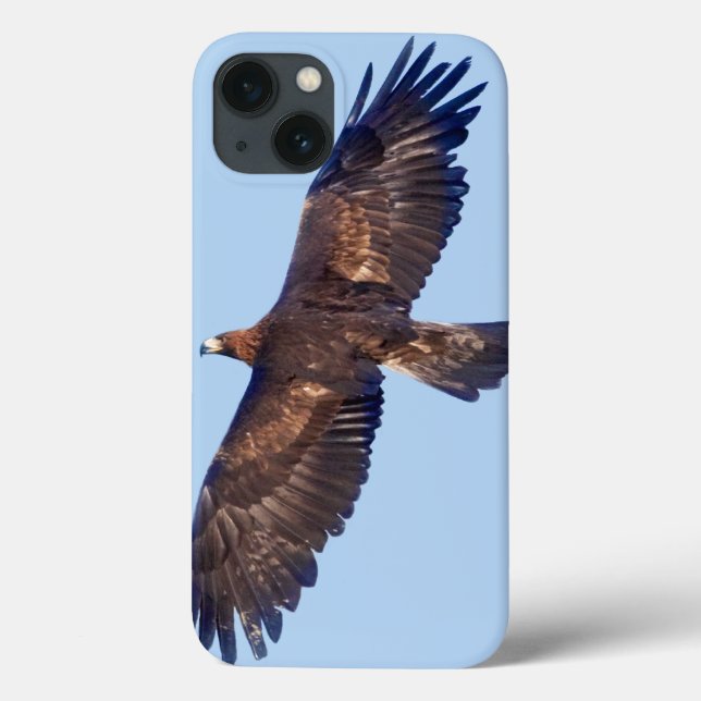 Golden Eagle in Flight iPad Case (Back)