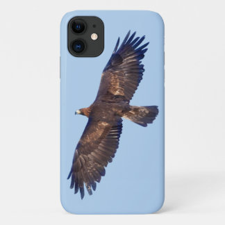 Golden Eagle in Flight iPhone 11 Case