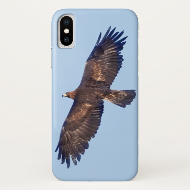 Golden Eagle in Flight iPhone X Case (Back)