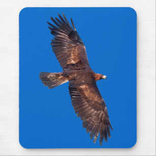 Golden Eagle in Flight Mousemat (Blue)