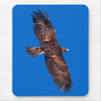 Golden Eagle in Flight Mousemat (Blue)