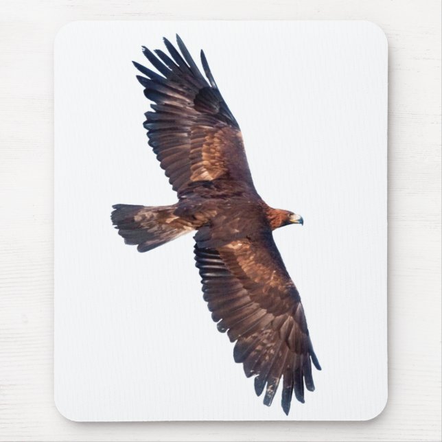 Golden Eagle in Flight Mousemat (Choose Colour) (Front)