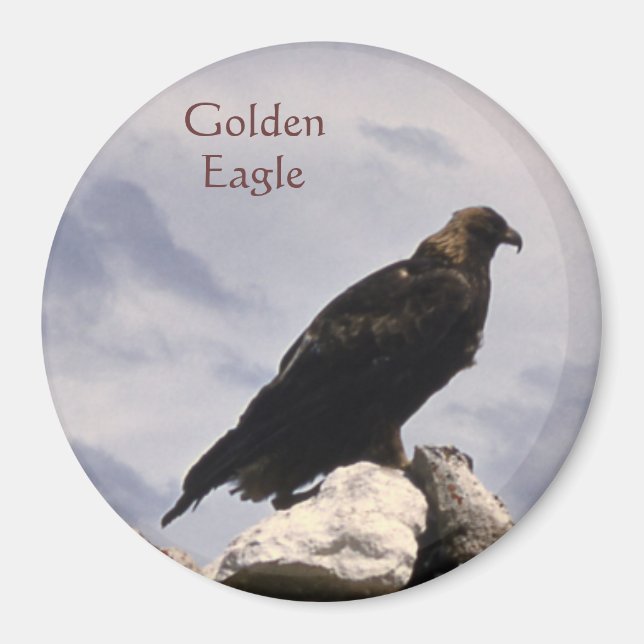 Golden Eagle Magnet (Front)