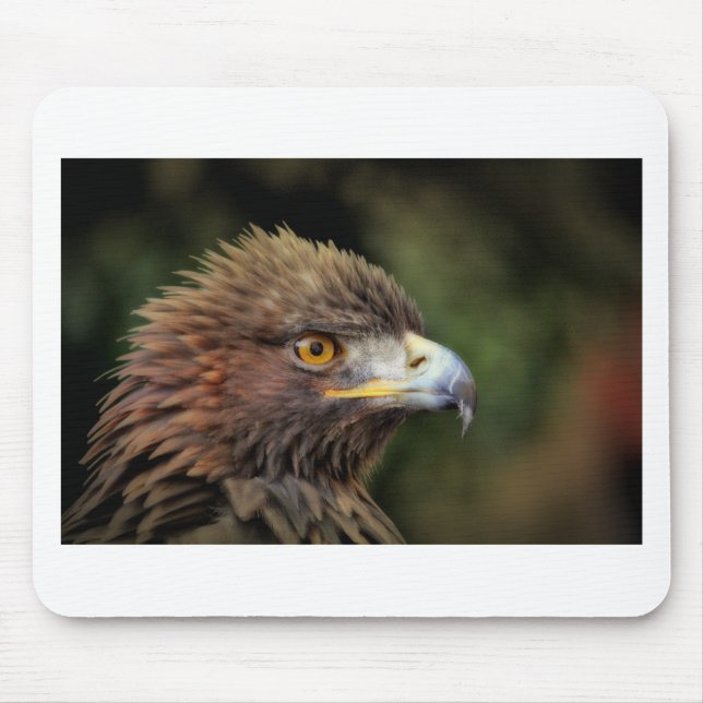 golden eagle mouse mat (Front)