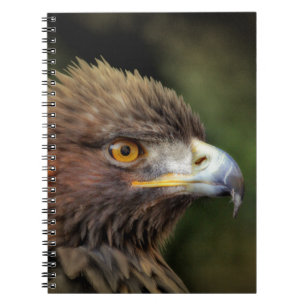 golden eagle notebook
