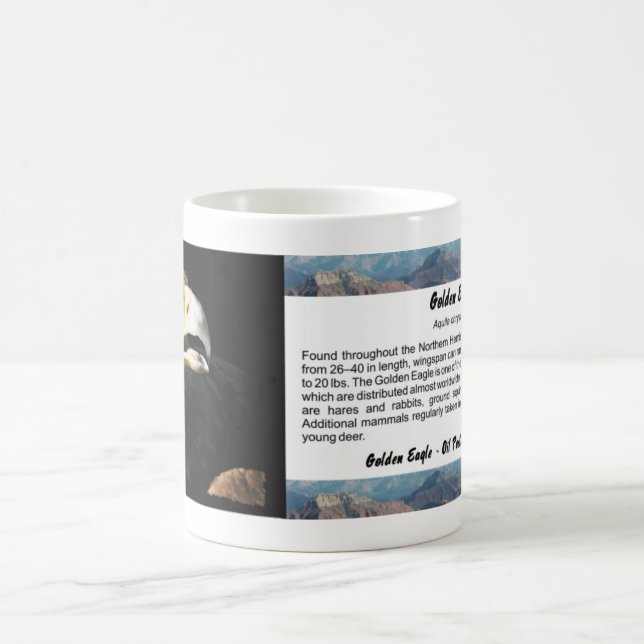 Golden Eagle Portrait Coffee Mug (Center)